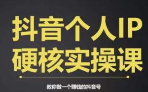 个人IP创富系统实战课，商业定位，流量打造，短视频变现，教你做个赚钱的抖音号-赚金金-技能学习分享