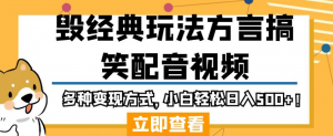 毁经典玩法方言搞笑配音视频,多种变现方式,小白轻松日入500+!-赚金金-技能学习分享