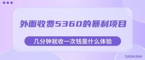外面收费5360的暴利项目,几分钟就收一次钱是什么体验,附素材【揭秘】-赚金金-技能学习分享