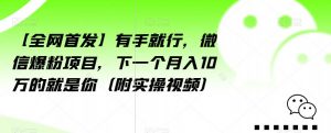 【全网首发】有手就行,微信爆粉项目,下一个月入10万的就是你(附实操视频)【揭秘】-赚金金-技能学习分享