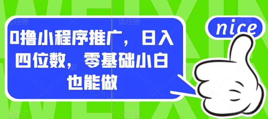 0撸小程序推广，日入四位数，零基础小白也能做【揭秘】-赚金金-技能学习分享