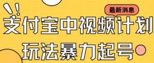 支付宝中视频玩法暴力起号影视起号有播放即可获得收益(带素材)-赚金金-技能学习分享