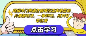 超级冷门赛道在微博引流卖明星图片最新玩法,一单88元,成交非常丝滑【揭秘】-赚金金-技能学习分享