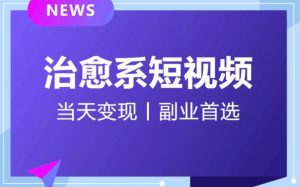 日引流500+的治愈系短视频,当天变现,小白月入过万首-赚金金-技能学习分享