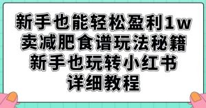 新手也能轻松盈利1w,卖减肥食谱玩法秘籍,新手也玩转小红书详细教程【揭秘】-赚金金-技能学习分享