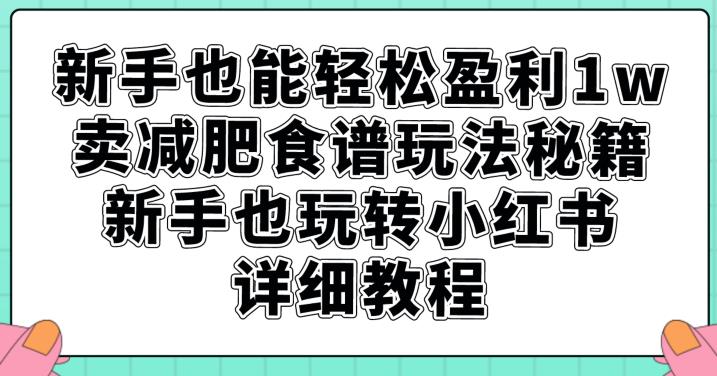 新手也能轻松盈利1w，卖减肥食谱玩法秘籍，新手也玩转小红书详细教程【揭秘】-赚金金-技能学习分享