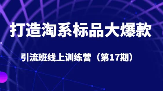 打造淘系标品大爆款引流班线上训练营（第17期）5天直播授课-赚金金-技能学习分享