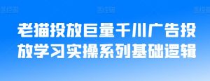 老猫投放巨量千川广告投放学习实操系列基础逻辑-赚金金-技能学习分享