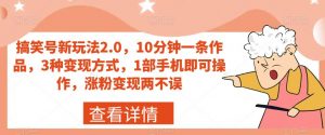搞笑号新玩法2.0,10分钟一条作品,3种变现方式,1部手机即可操作,涨粉变现两不误-赚金金-技能学习分享