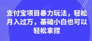 支付宝项目暴力玩法,轻松月入过万,基础小白也可以轻松拿捏【揭秘】-赚金金-技能学习分享