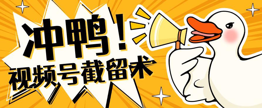 全球首发-视频号无限截留术-你不知道的流量沃土-赚金金-技能学习分享