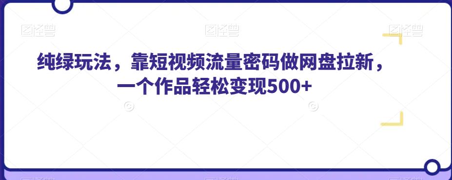 纯绿玩法，靠短视频流量密码做网盘拉新，一个作品轻松变现500+【揭秘】-赚金金-技能学习分享