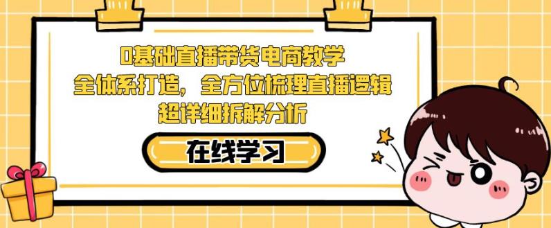零基础直播带货电商教学，全方位梳理直播逻辑，超详细拆解分析-赚金金-技能学习分享