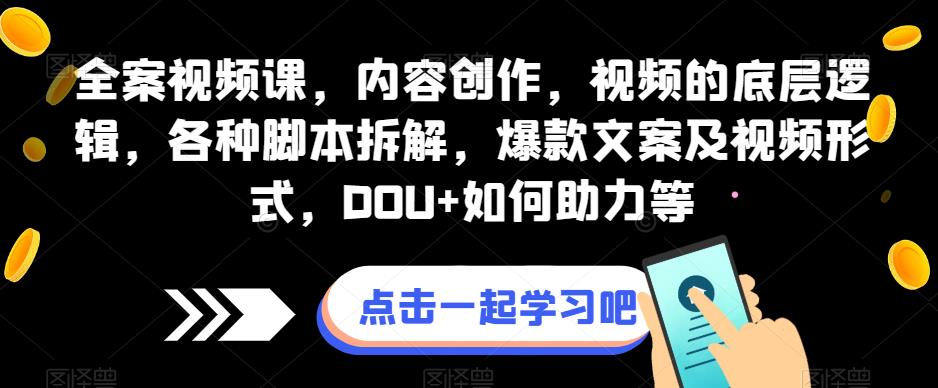 全案视频课，内容创作，视频的底层逻辑，各种脚本拆解，爆款文案及视频形式，DOU+如何助力等-赚金金-技能学习分享