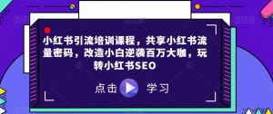 小红书引流培训课程,共享小红书流量密码,改造小白逆袭百万大咖,玩转小红书SEO-赚金金-技能学习分享
