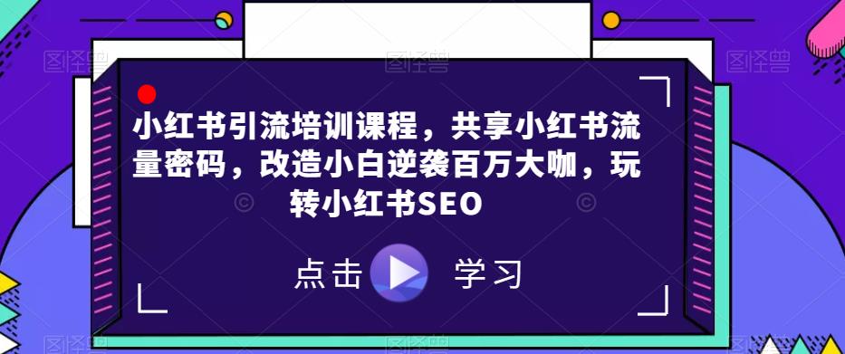 小红书引流培训课程，共享小红书流量密码，改造小白逆袭百万大咖，玩转小红书SEO-赚金金-技能学习分享