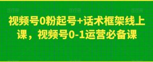视频号0粉起号+话术框架线上课,视频号0-1运营必备课-赚金金-技能学习分享