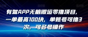 有驾APP无脑搬运零撸项目,一单最高100块,单账号可撸3次,可多号操作【揭秘】-赚金金-技能学习分享