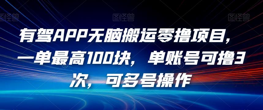 有驾APP无脑搬运零撸项目，一单最高100块，单账号可撸3次，可多号操作【揭秘】-赚金金-技能学习分享