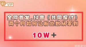 全网首发,抖音《共同探讨》两个月如何让粉丝数从零到10w【揭秘】-赚金金-技能学习分享