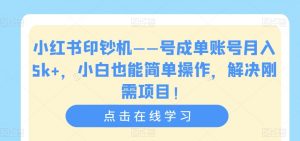 小红书印钞机——号成单账号月入5k+,小白也能简单操作,解决刚需项目【揭秘】-赚金金-技能学习分享