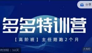 纪主任·多多特训营高阶班【9月13日更新】,拼多多最新玩法技巧落地实操-赚金金-技能学习分享