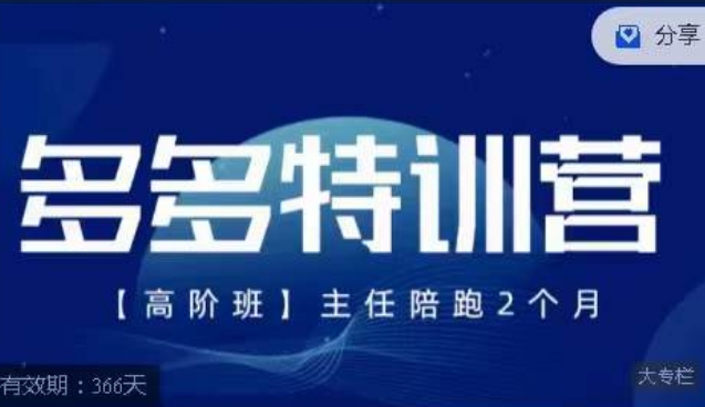 纪主任·多多特训营高阶班【9月13日更新】，拼多多最新玩法技巧落地实操-赚金金-技能学习分享
