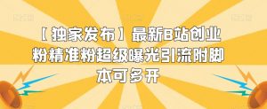 【独家发布】最新B站创业粉精准粉超级曝光引流附脚本可多开【揭秘】-赚金金-技能学习分享