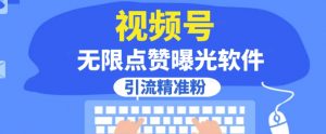 全网首发,视频号无限点赞曝光,引流精准粉【揭秘】-赚金金-技能学习分享