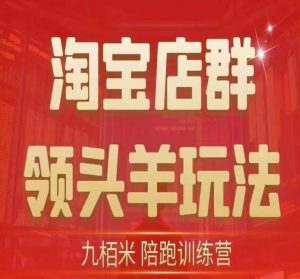 九栢米-淘宝店群领头羊玩法,教你整个淘宝店群领头羊玩法以及精细化/终极蓝海/尾销等内容-赚金金-技能学习分享