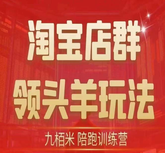 九栢米-淘宝店群领头羊玩法，教你整个淘宝店群领头羊玩法以及精细化/终极蓝海/尾销等内容-赚金金-技能学习分享