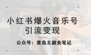 小红书爆火音乐号引流变现项目,视频版一条龙实操玩法分享给你-赚金金-技能学习分享