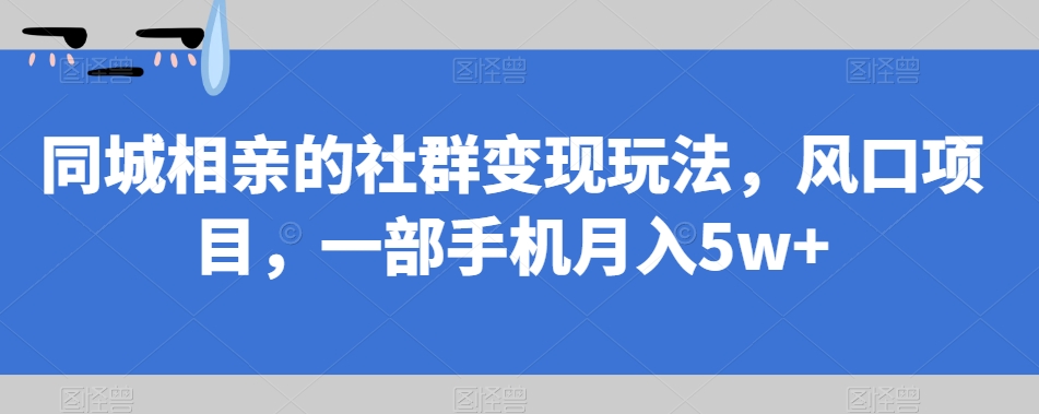 同城相亲的社群变现玩法，风口项目，一部手机月入5w+【揭秘】-赚金金-技能学习分享