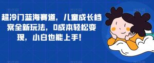 超冷门蓝海赛道,儿童成长档案全新玩法,0成本轻松变现,小白也能上手【揭秘】-赚金金-技能学习分享