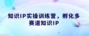 知识IP实操训练营，​孵化多赛道知识IP-赚金金-技能学习分享