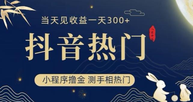 抖音最新小程序撸金，测手相上热门，当天见收益一小时变现300+【揭秘】-赚金金-技能学习分享
