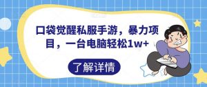 口袋觉醒私服手游,暴力项目,一台电脑轻松1w+【揭秘】-赚金金-技能学习分享