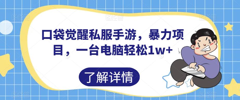 口袋觉醒私服手游，暴力项目，一台电脑轻松1w+【揭秘】-赚金金-技能学习分享