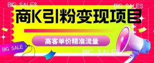 商K引粉变现项目,高客单价精准流量【揭秘】-赚金金-技能学习分享