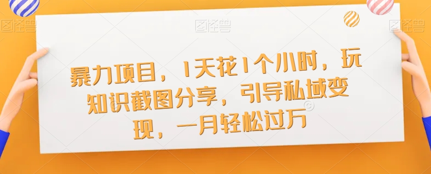 暴力项目，1天花1个小时，玩知识截图分享，引导私域变现，一月轻松过万【截图】-赚金金-技能学习分享