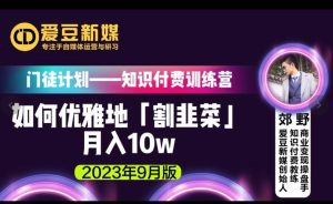 爱豆新媒:如何优雅地「割韭菜」月入10w的秘诀(2023年9月版)-赚金金-技能学习分享