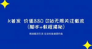 K首发价值880 B站无限关注截流精准引流(脚本+教程揭秘)-赚金金-技能学习分享