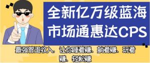 全新亿万级蓝海市场通惠达cps，最强管道收入，让你睡着赚、躺着赚、玩着赚、轻松赚【揭秘】-赚金金-技能学习分享
