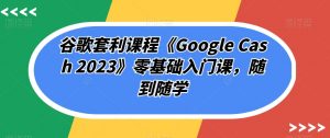 谷歌套利课程《Google Cash 2023》零基础入门课，随到随学-赚金金-技能学习分享