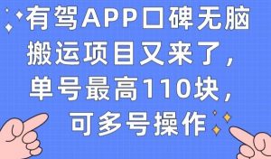 有驾APP口碑无脑搬运项目又来了,单号最高110块,可多号操作-赚金金-技能学习分享