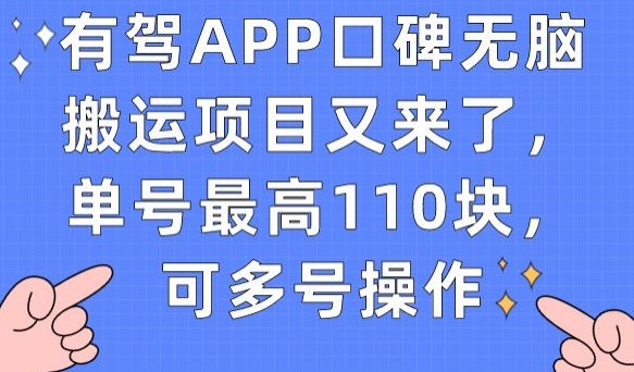 有驾APP口碑无脑搬运项目又来了，单号最高110块，可多号操作-赚金金-技能学习分享