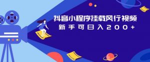 抖音小程序挂载风行视频，新手可日入200+-赚金金-技能学习分享