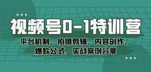 视频号0-1特训营:平台机制、拍摄剪辑、内容创作、爆款公式,实战案例分享-赚金金-技能学习分享