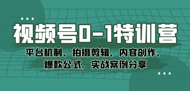 视频号0-1特训营：平台机制、拍摄剪辑、内容创作、爆款公式，实战案例分享-赚金金-技能学习分享