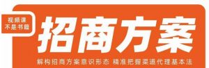 王昕招商方案,解构招商方案意识形态,精准把握渠道代理基本法-赚金金-技能学习分享
